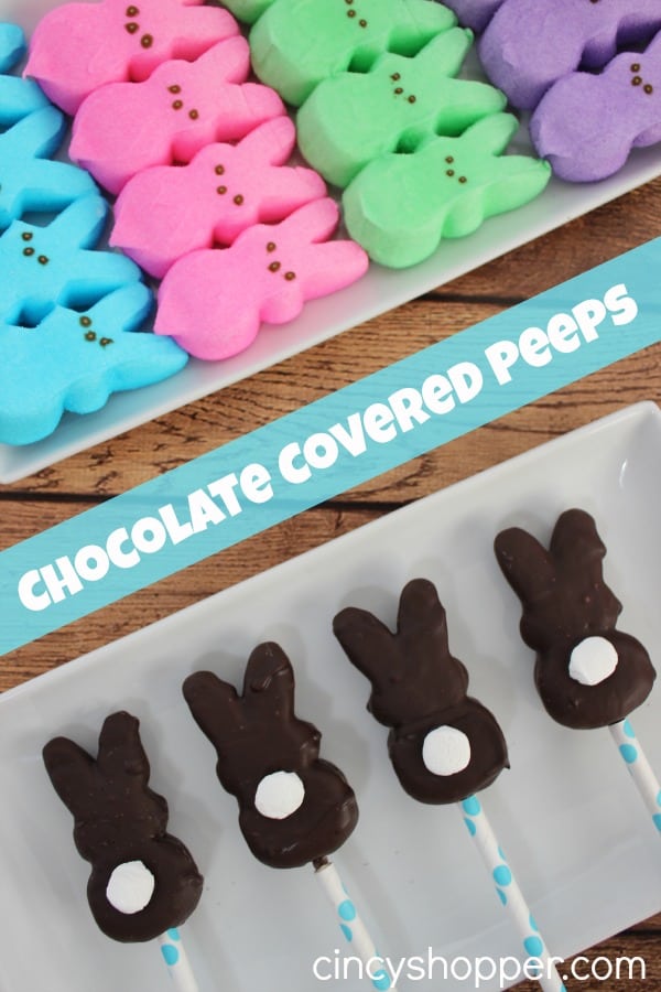 Chocolate Covered Peeps